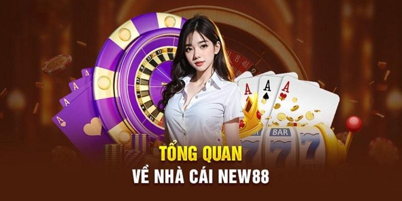 Thông tin sơ bộ về sảnh cược New88