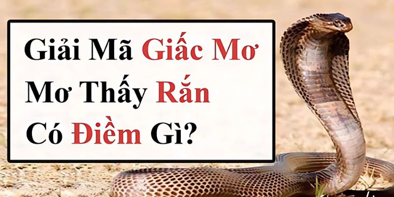 Mơ thấy con vật này là xui hay rủi?