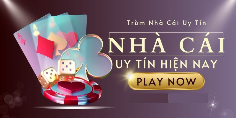 Danh Sách Top 10 Nhà Cái Uy Tín Trong Từng Lĩnh Vực 